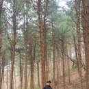 토골농장 이미지