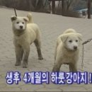 없음 이미지