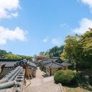 [안동 도산서원] 경북 안동 가족 여행. 퇴계 이황선생 도산서원. [안동하회마을], 만송정, 부용대, 구곡.