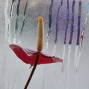 신경희/4회 겨울공모/사진부 장원 이미지