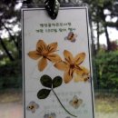 평안골작은도서관 이미지