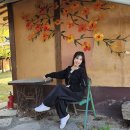 서울댄스스포츠학원 이미지