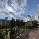 영무예다음 앞 이미지