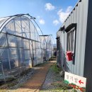 포일농장 이미지