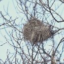 산새들공원 이미지