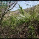 예산읍수철리보건진료소 이미지