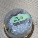 아이디어스 과일 모찌 과일찹쌀떡 정인당 내돈내산 후기