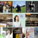2020년 새해 계획 돌아보고 결산하기 (Feat. 마인드 카소님과 함께 한 캔바 드림보드)
