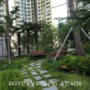 모닝온누리약국 이미지