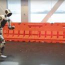 모션다이나믹스 이미지