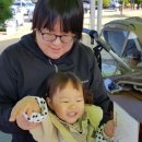 반디장터 이미지