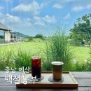 백설애견 이미지