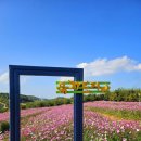유자의 정원 - 강북구 | 유자의 정원