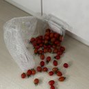 국수나무효천점 | 조바심 나서 적는 나의 3월