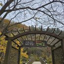 마루치공원(화전1호) 화장실 | 오대산 선재길/화엄의 단풍길로 들어가다