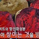 커피이야기 - 광산구 삼도중방길 48 | 커피이야기