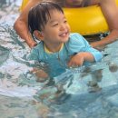 더힐풀스테이키즈풀빌라독채펜션 이미지