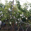 재규농장 이미지