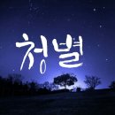 청별캘리그라피