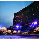 하얏트호텔 이미지