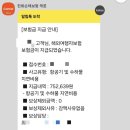 마이뱅크 여행자보험 청구 후기｜태풍 결항으로 숙박비·식비 실제 보상받은 후기