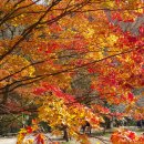 농협금천지점 이미지