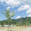 방산면 송현리 캠핑장 이미지