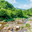 포레스트카라반파크