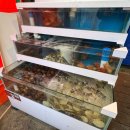 판암동139 이미지