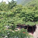 자연밸리 관광농원 이미지