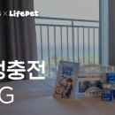세인트라이프