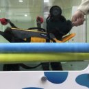 모모동물병원 이미지