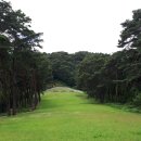 김극뉴 묘역 이미지