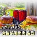꽃담수제버거 | [제주 맛집] 성산일출봉 뷰 보며 즐기는 비주얼부터 속까지 꽉찬 꽃담수제버거 솔직 후기