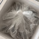 여수 새조개 택배 &#39; 부성 수산 &#39; 내돈내산 + 샤브샤브