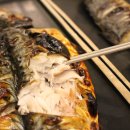 북극해고등어 이미지