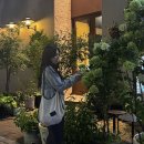 히어리 | 히어리 heeari 카멜리아 매쉬백 히어리가방 숄더백 아이보리 제품후기 🌼