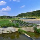 와촌농장 이미지