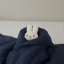 Apr_2025