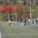 브이메디팜 이미지