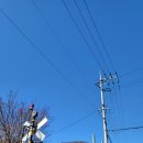 고대산캠핑리조트 이미지