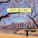 논산여자상업고등학교 | 논산 벚꽃 명소 논산여상 스물다섯 스물하나 촬영지