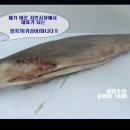 자인수산 이미지