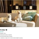 송도펫8265 | 송도 오크우드 프리미어 인천 스위트룸 이용 후기 사우나