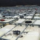 농업회사법인(주)에코 이미지