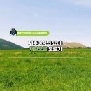 새별오름컨텐츠