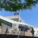 대강 | 초보 요가강사 대강 후기 구하는 법 꿀팁