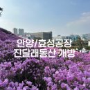 안경공장 나들이 민락점 | 안양효성공장 진달래동산개방후기
