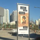 지관서가(울산시립미술관점) | 울산 중구 북정동 止觀書架 지관서가 울산시립미술관점 재방문 (성남동 카공 카페)