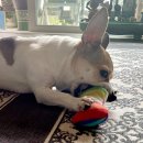 부천-중동-부천-015 | [블챌] 주간일기 015. September week 3